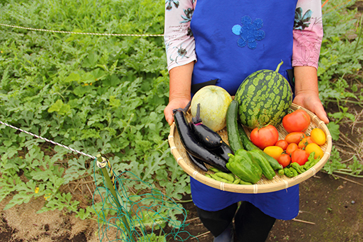 野菜の販売